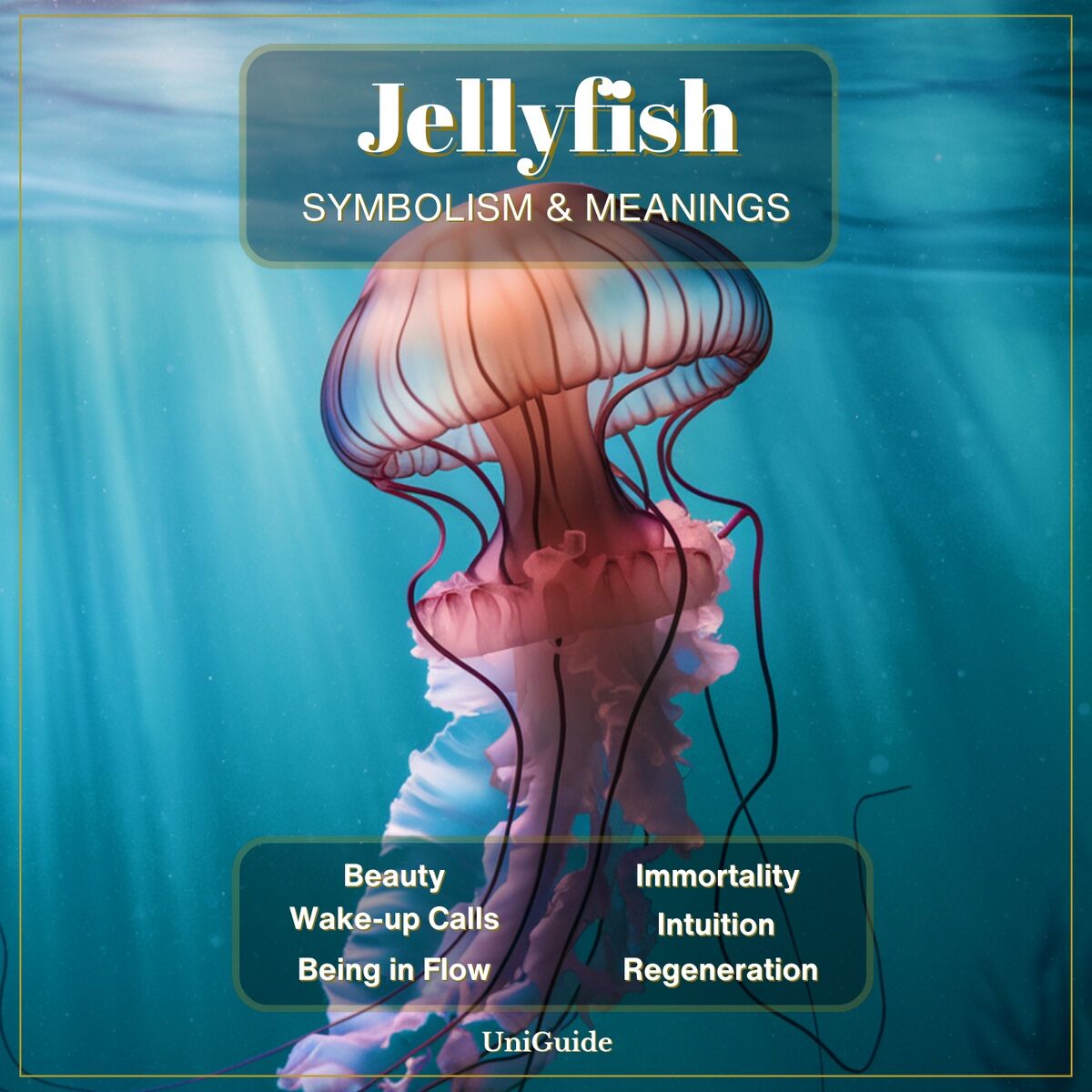 Why is jelly fish symbolism important? 4 reasons you should know
