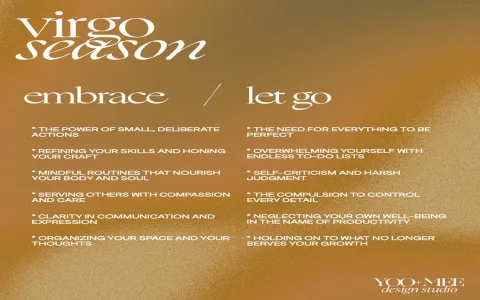 How to understand your virgo career daily horoscope 2019？ Key points here!