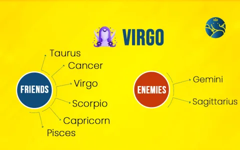 Horoscope compatibility between Virgo and Taurus： How well do they match？