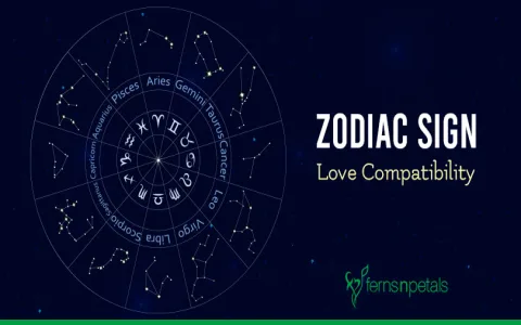 Is the friend compatibility of Leo and Virgo good？ Check these signs!