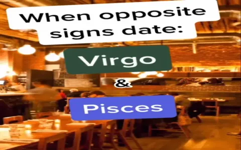 Understanding the Dynamics： Everything You Need to Know About Deep pisces & virgo compatibility.