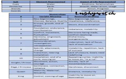 How to interpret tarot quiz results？ A beginners guide!