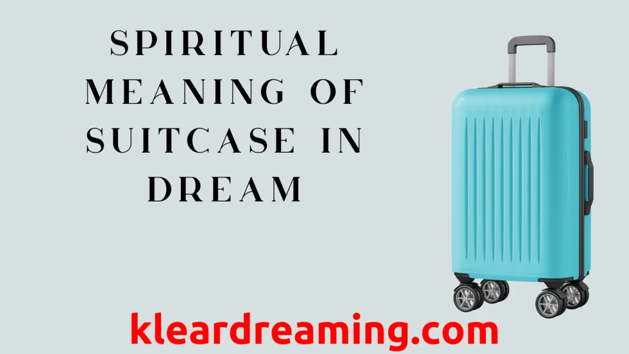 Did you lose your luggage in dreams？ Interpret this common anxiety dream today!