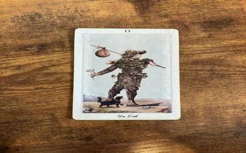 The fool tarot reversed advice？ Reconsider path!
