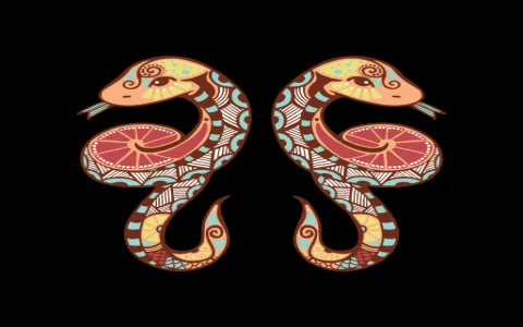 Does gemini and virgo love relationship last？ Factors you should know!