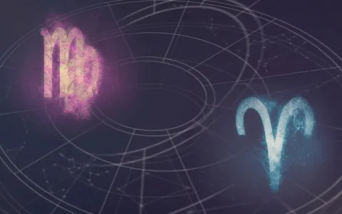 Can you predict Gemini and Virgo love compatibility percentage？ Tips inside!