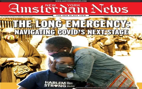 Why are fans searching for the Elle Virgo Daily UK website？ Check the biggest UK news here!