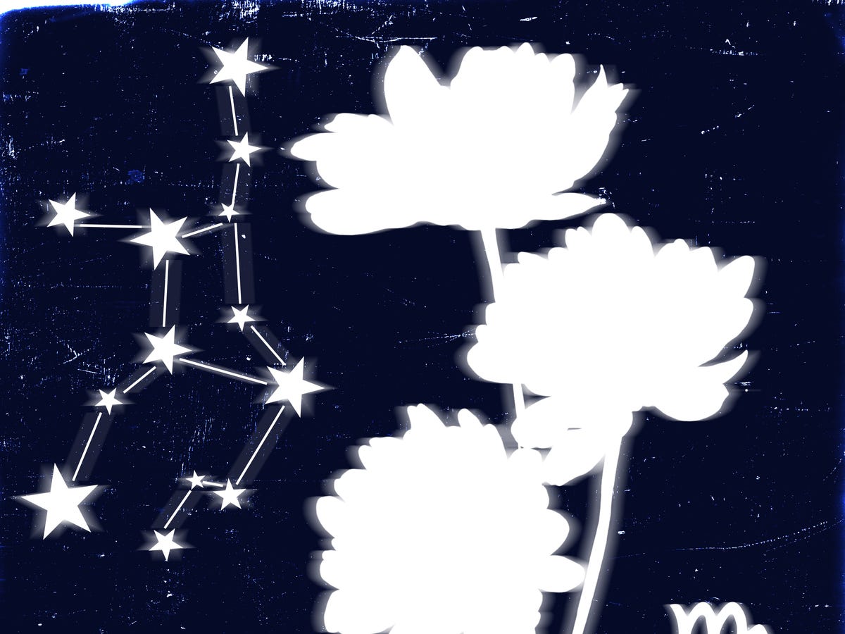 Checking Your Elle UK Daily Horoscope Virgo Today： What Do the Stars Say About Your Luck？