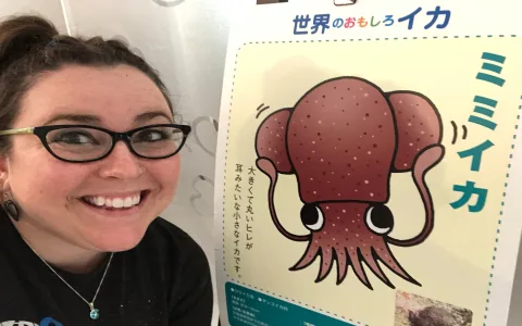 How to make the dream of squid come true？ Practical strategies revealed!