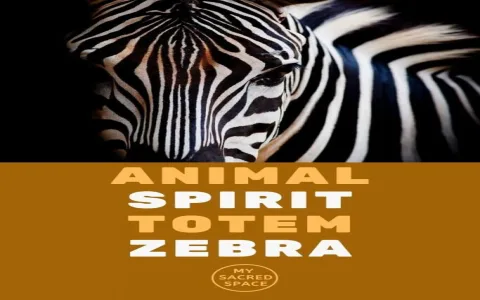 Discover the zebra spirit animal meaning and its unique messages!
