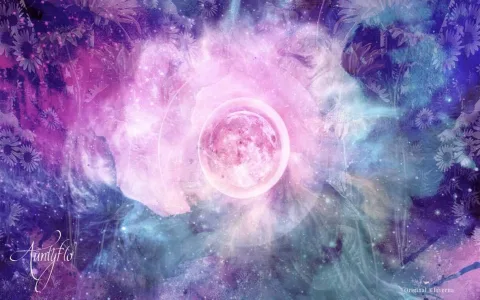 Dream dictionary shrimp： How to understand your shrimp - related dreams？