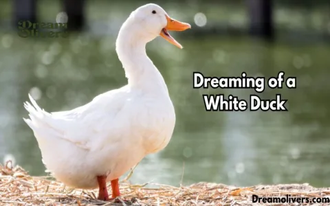 What does a duck symbolize in dreams？ Experts explain!