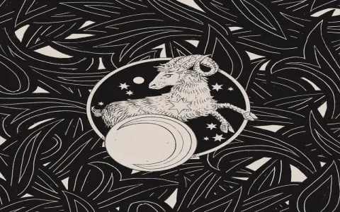 How accurate is the daily Virgo horoscope by Astro Twins？ Check it now!