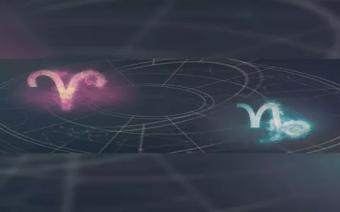 Capricorn and Virgo compatibility relationship： Do they have a high - quality romance？