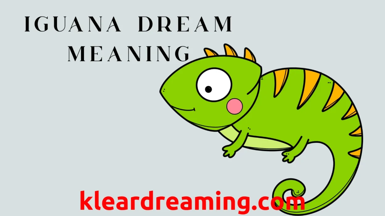 What does a dream about an iguana mean？ Experts share insights!