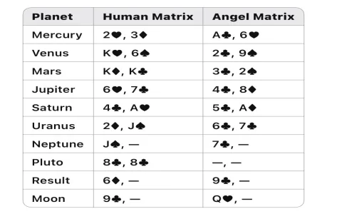 Jack of spades meaning tarot for love readings？ Find out if they are truly loyal!