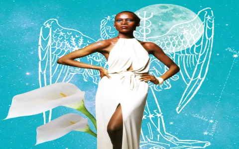 Gemini woman and Virgo man marriage compatibility： What factors matter most？