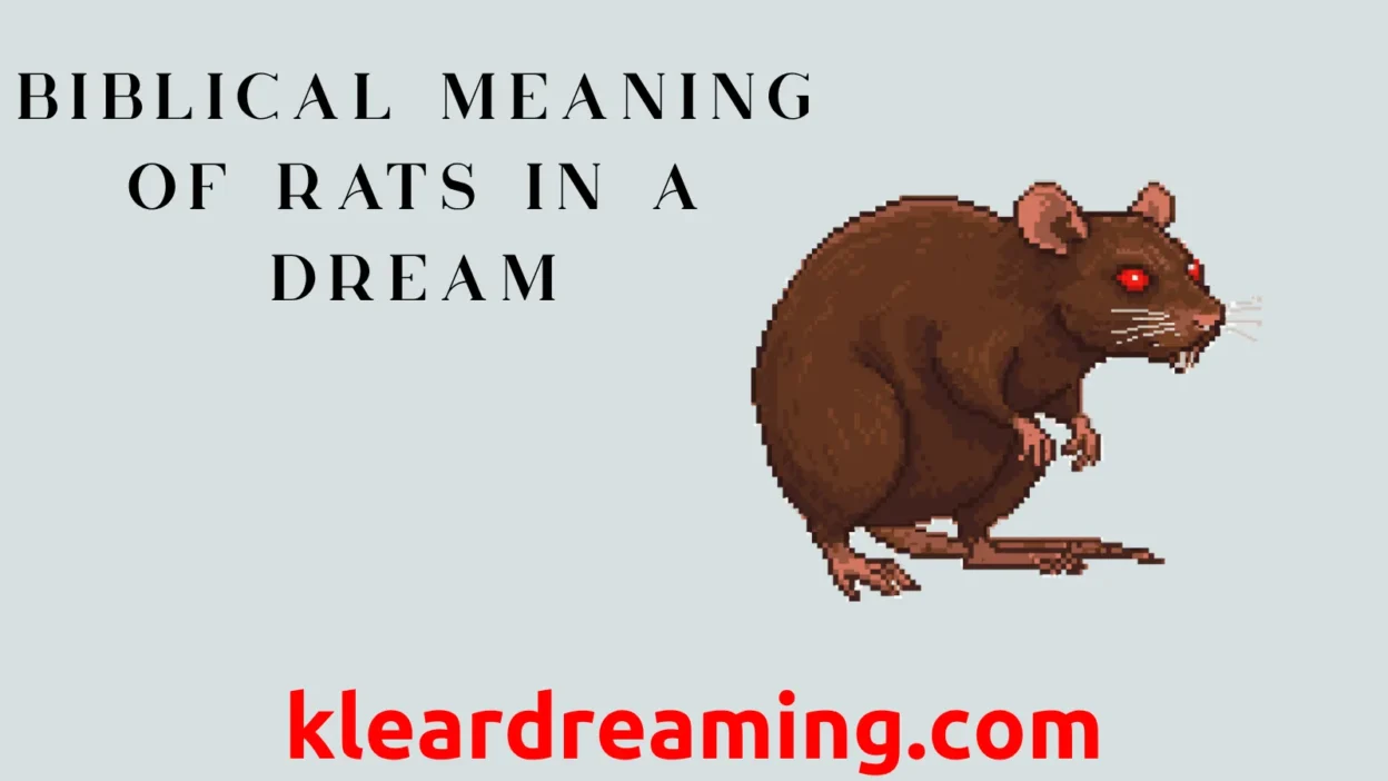 Biblical meaning of rats in a dream： Are you interpreting it right？