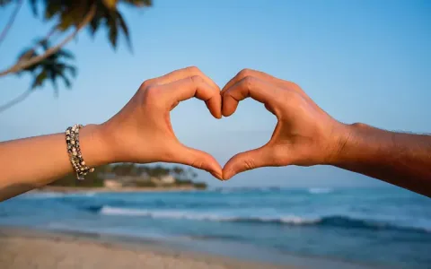 Are Leo and Virgo compatible in love？ Real - life stories to inspire you