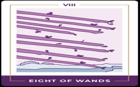 How to understand the 8 of hearts tarot meaning？ A simple guide!