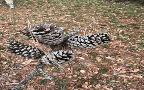 What does a pine cone symbolize in Christmas traditions？ Learn more!
