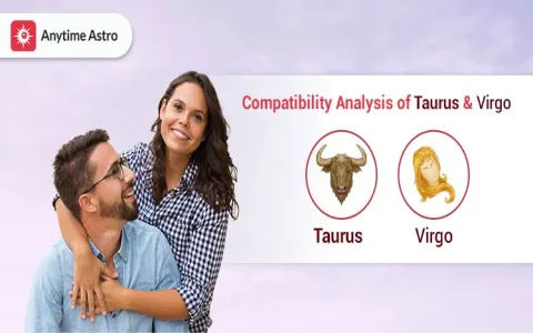 Are msn virgo traits compatible with your zodiac sign？ Check your relationship match.