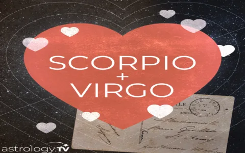 virgo star sign love match