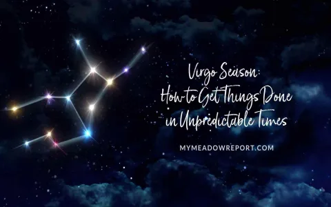 How to improve Virgo career and money situation in 2016？