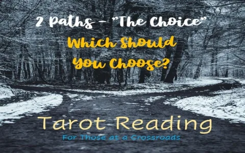 Which tarot reader is good at two choices tarot spread？ Compare these ones!