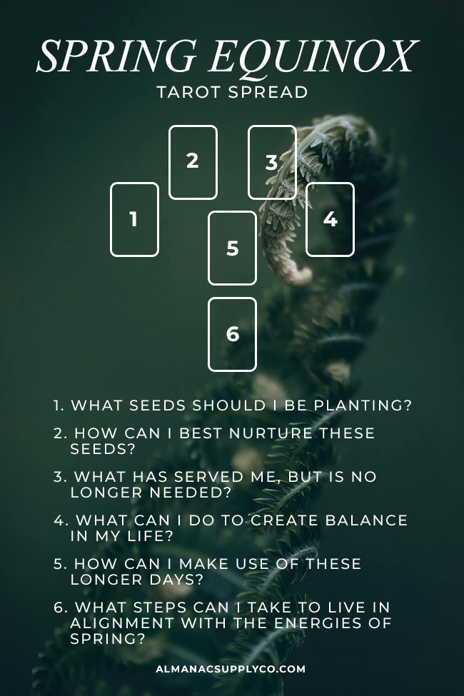 How to do a spring equinox tarot spread？ 5 tips for beginners!