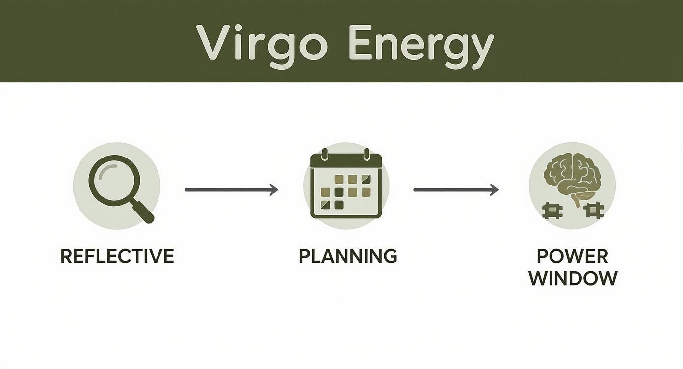Big career changes in your horoscope for next week virgo? (What you need to focus on this week)