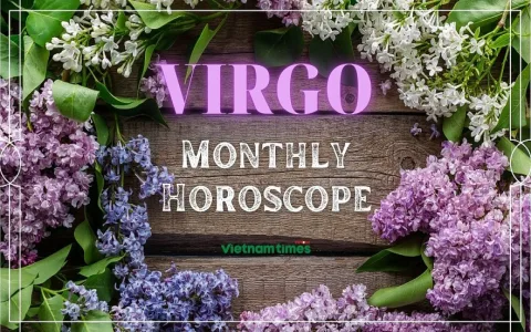 Virgo Monthly Horoscope October 2019： What Should You Focus On Now？