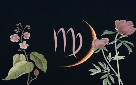 Virgo monthly horoscope September： Whats your forecast？