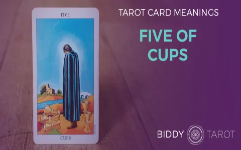 5 de copas tarot reversed brings what good？ (New hope)