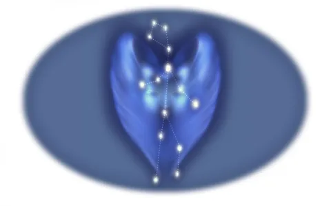 Understanding Your Virgo Weekly Reading： Key Advice.