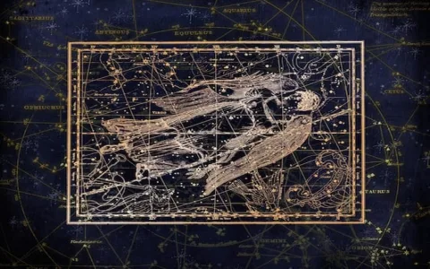 Top Virgo Career Strengths： What Makes You Great？