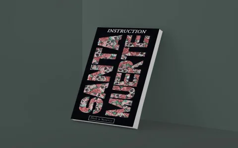 Santa Muerte Tarot Meanings？ (Quick card guide)