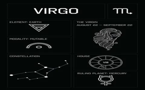 Recap： Virgo 2014 Career (Horoscope insights)