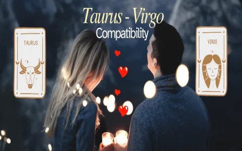 What Is Your Virgo Best Love Match Sign？ Find The Top 3 Signs Now!