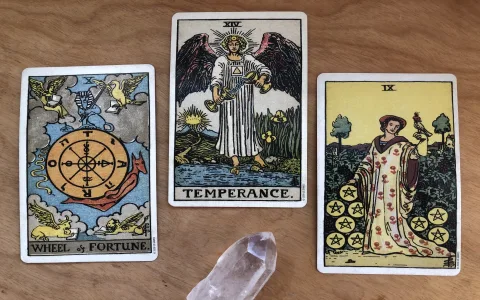 Draw the Temperance Tarot in Love card： Simple advice for a lasting partnership.
