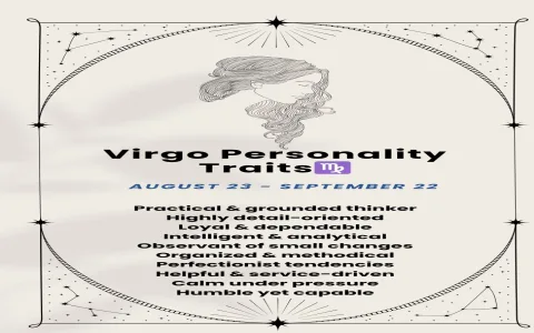 Understanding the traits of the Virgo： Organized and practical.