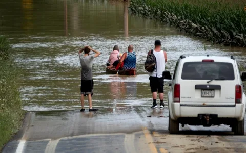 Virgo Forecast (Michele Knight)