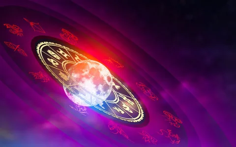 Are Taurus And Virgo Compatible？ Check Your True Star Sign Love Details!