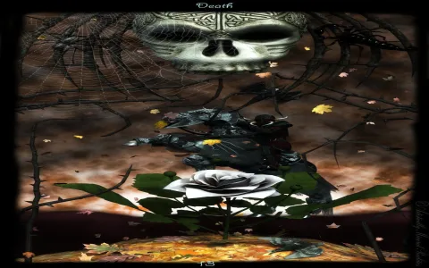 Legacy of the Divine Tarot Book： Easy Reading Tips