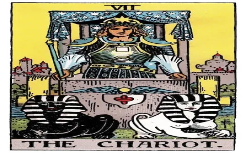 Free Love Tarot： His Mind？