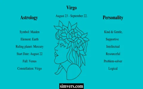 Virgo and Aquarius Work Compatibility： Strengths and Weaknesses