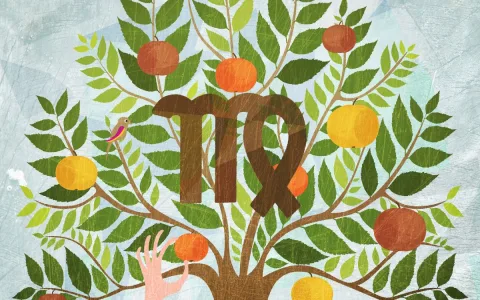 Why Everyone Loves OM Times Daily Virgo Readings： Simple Steps To Start Reading Now!