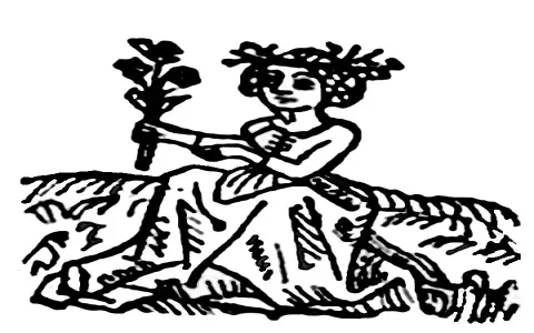 Missing Your Oracle Daily Horoscope Virgo？ The Full 7-Day Forecast Is Here for You!