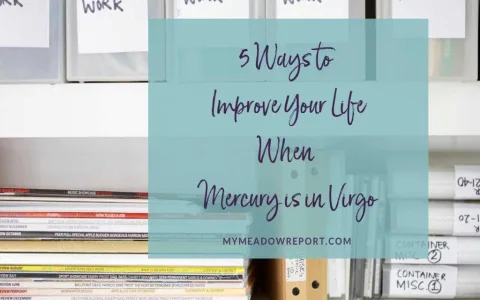 Unlocking Your Virgo Career Path： A Guide to Success.