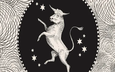 Taurus x Virgo Compatibility Strengths： Find true love here.